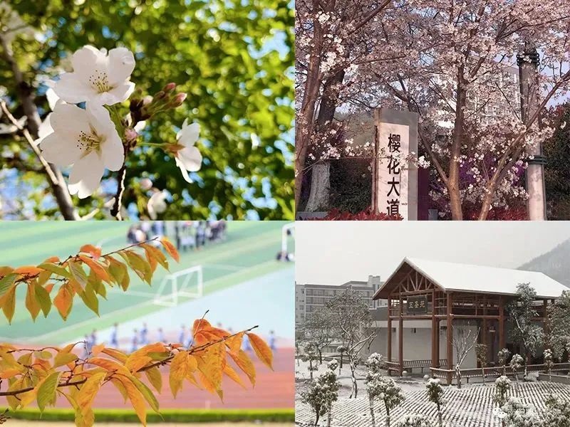 ΢��ͼƬ_20230904090040