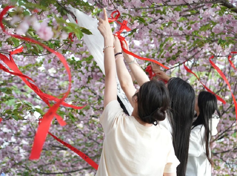 ΢��ͼƬ_20240411083617