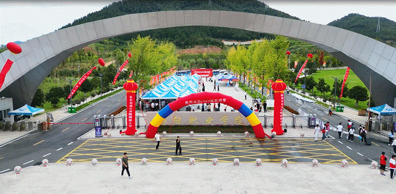 ΢��ͼƬ_20240906111003