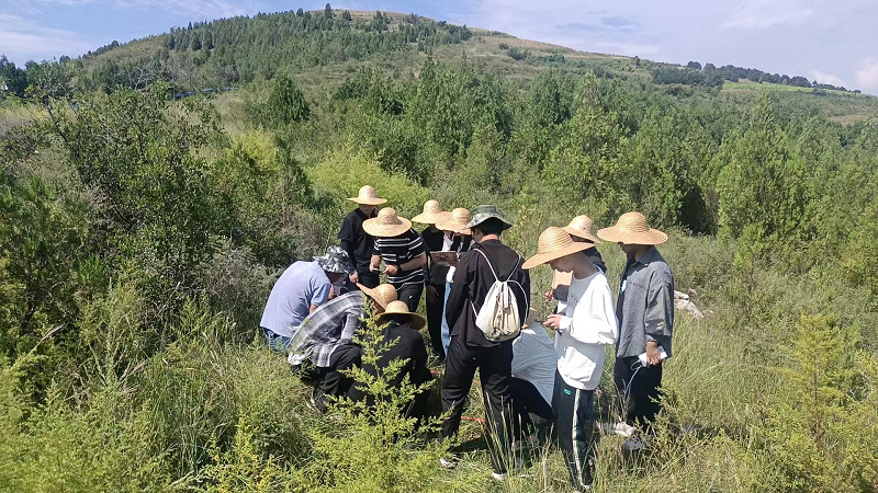 ΢��ͼƬ_20241017154352