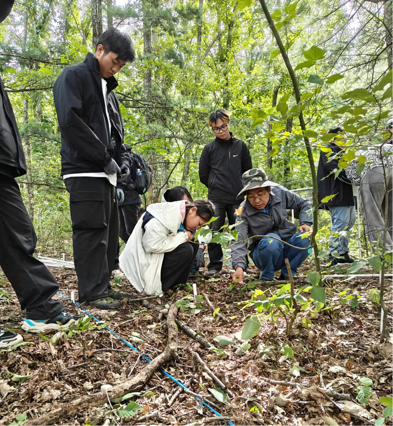 ΢��ͼƬ_20241017154354