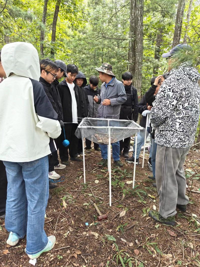 ΢��ͼƬ_20241017154359