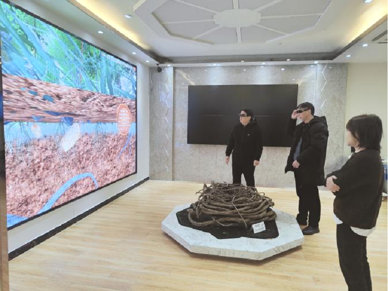 微信图片_20241217082303 微信图片_20241217082303