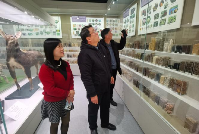 微信图片_20241217083640 微信图片_20241217083640