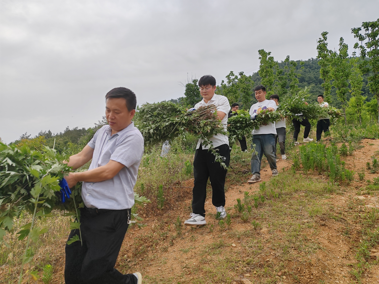 ����ְҵѧԺ��������� (3)