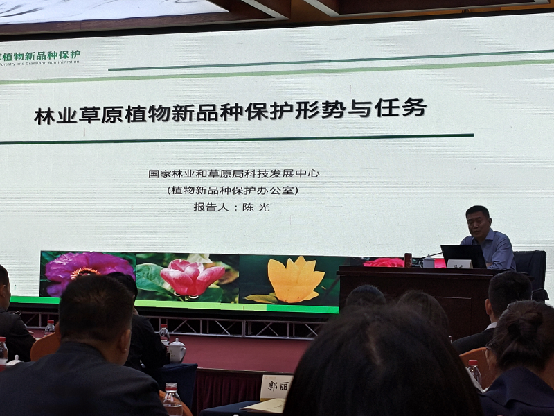 ΢��ͼƬ_2026-04-17_085226_976