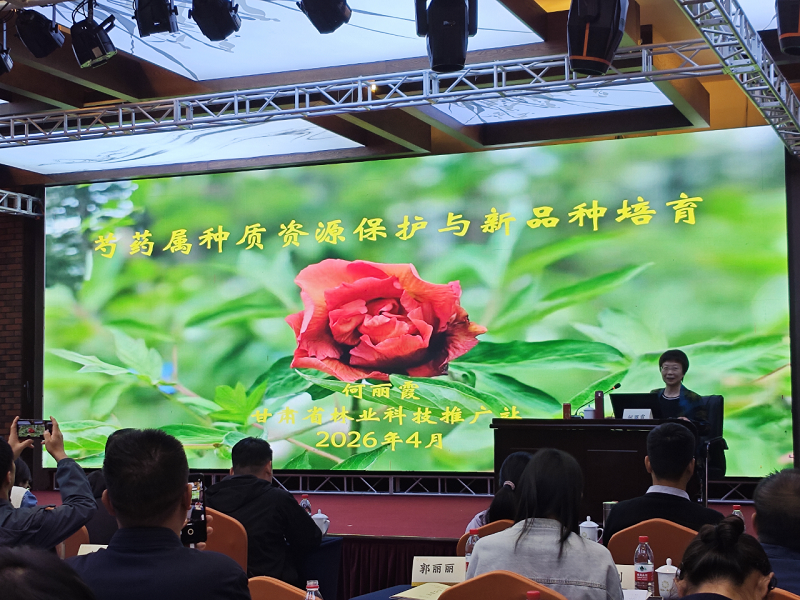 ΢��ͼƬ_2026-04-17_085233_301